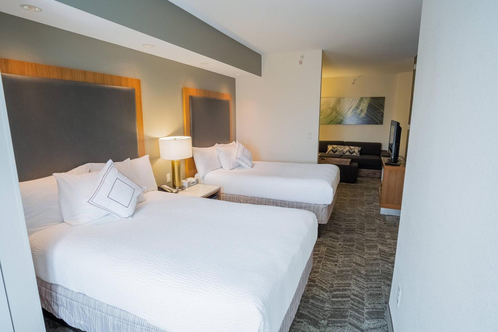 Springhill Suites By Marriott Winston-Salem Hanes Mall מראה חיצוני תמונה